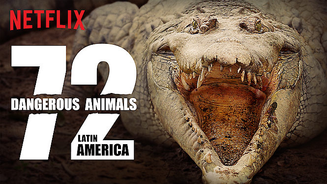 72 Dangerous Animals Latin America 2017 Netflix Flixable