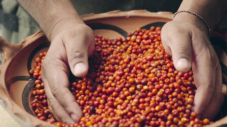 Watch Phoenix. Episode 7 of Season 3.