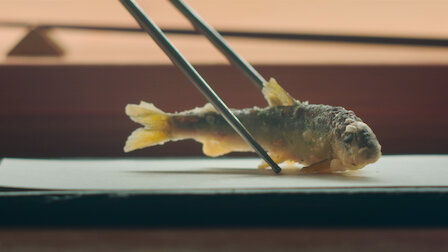 Watch Pescado. Episode 7 of Season 2.