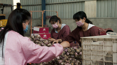 Katso Kynsilaukkakonflikti. Jakso 3, kausi 1.