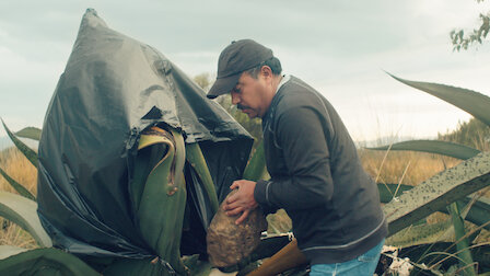 Watch Barbacoa. Episode 5 of Season 1.