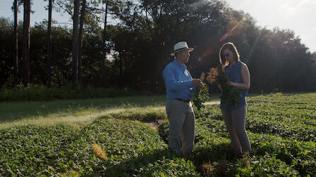 Katso Pähkinä purtavaksi. Jakso 2, kausi 1.