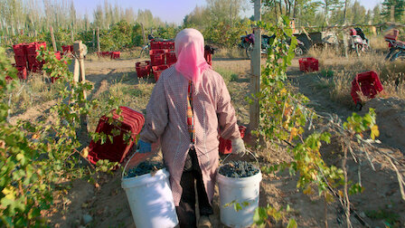 Katso Viinin varjossa. Jakso 2, kausi 2.