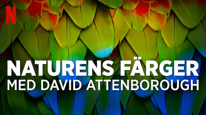 Naturens färger med David Attenborough